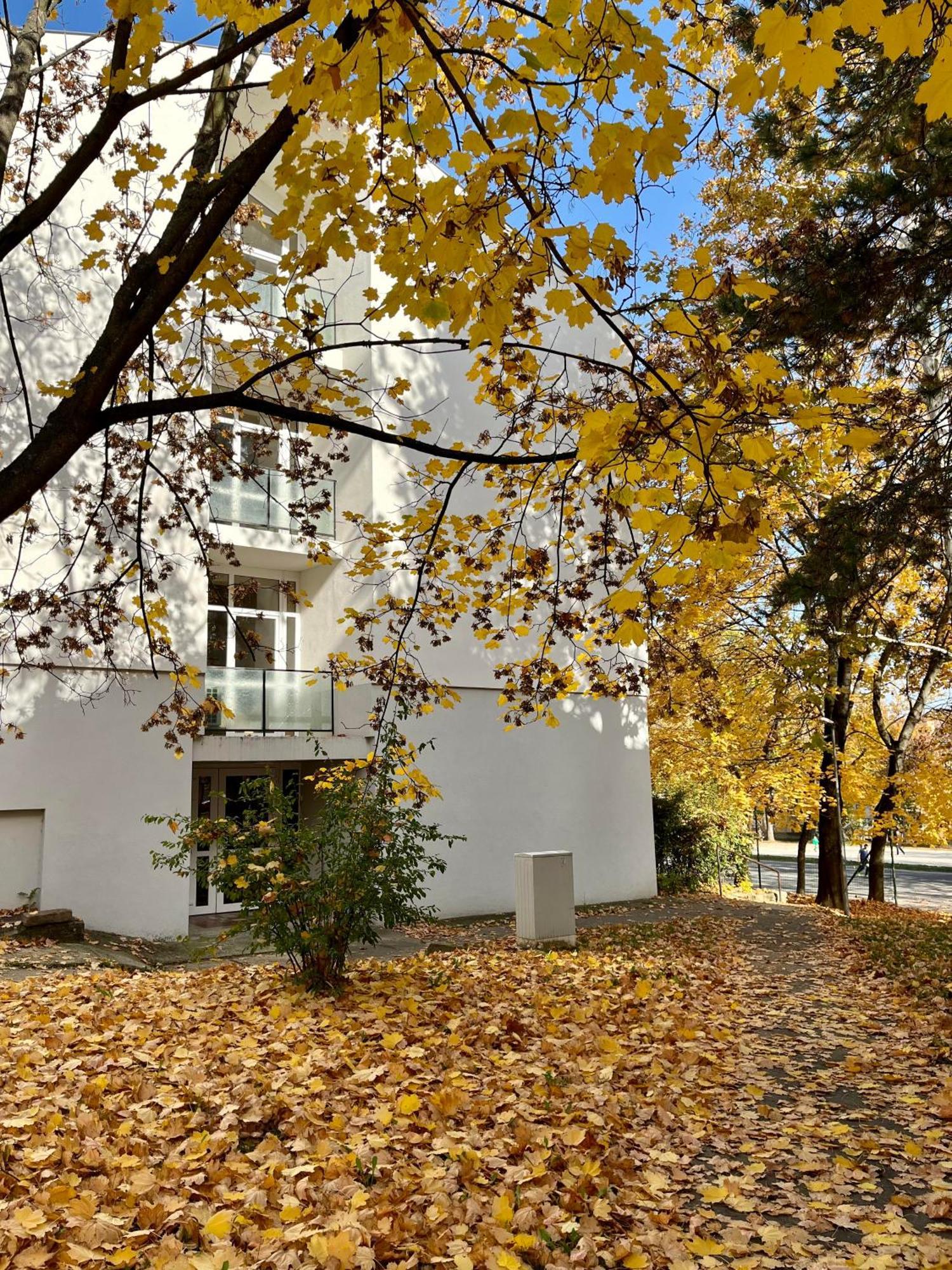 Oazis Apartman Veszprém Eksteriør billede